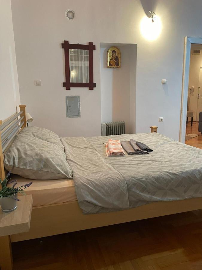 Vila Miletic Vrnjačka Banja Exterior foto