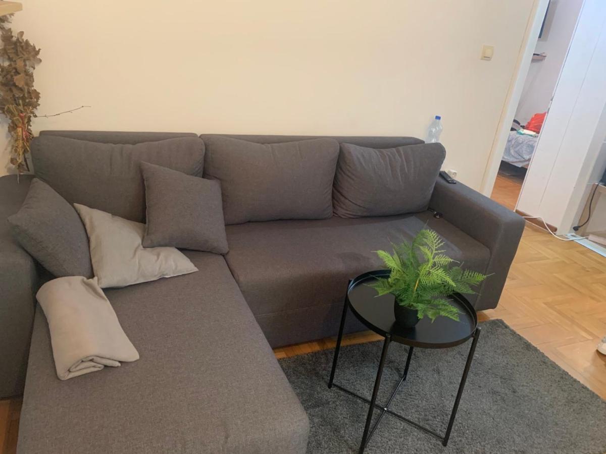 Vila Miletic Vrnjačka Banja Exterior foto